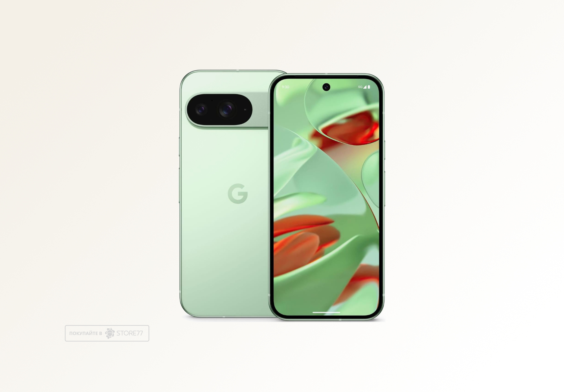 Телефон Google Pixel 9 12/128 ГБ цвет: зимне-зелёный (Wintergreen)