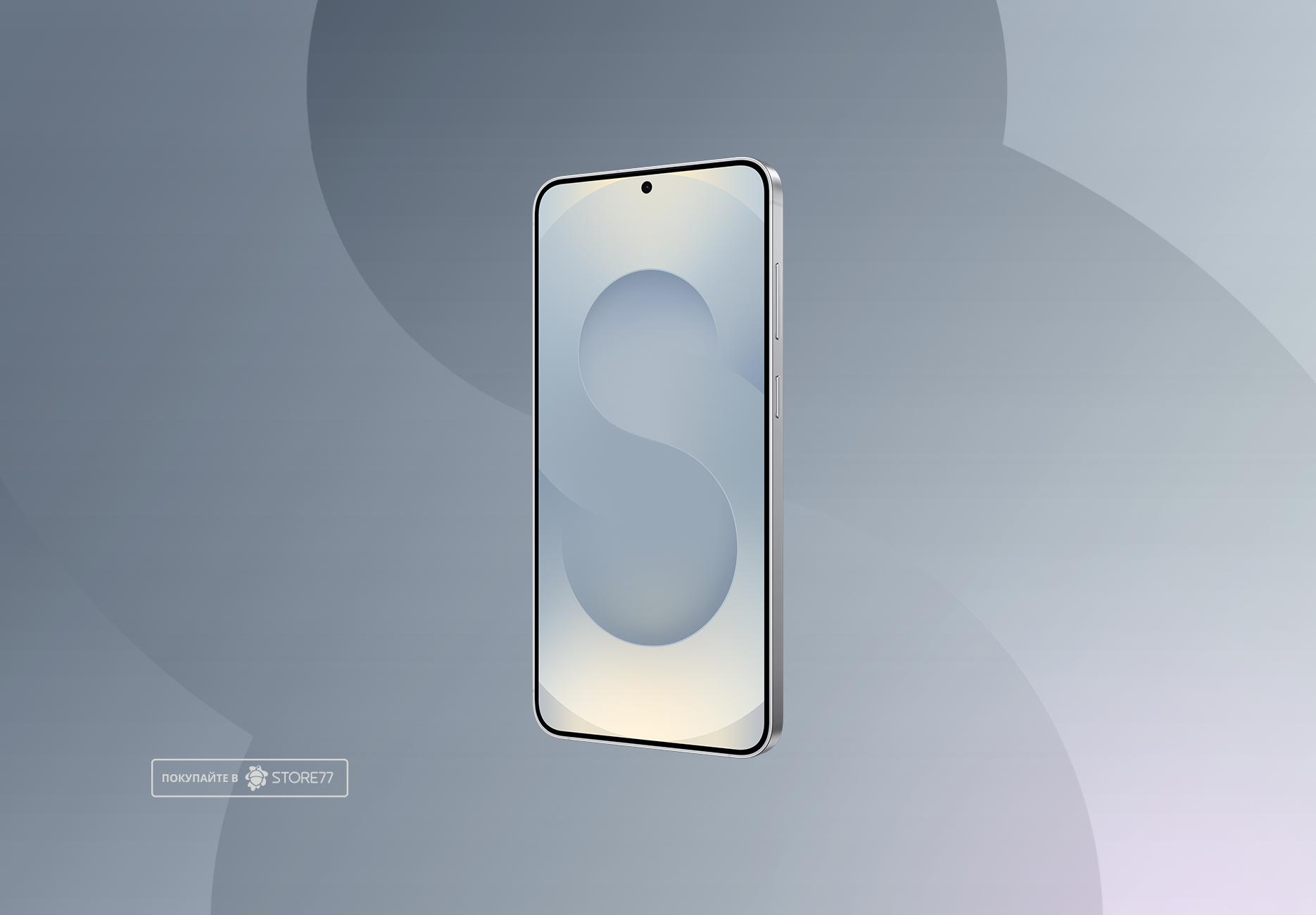 Телефон Samsung Galaxy S25+ 12/512 ГБ, цвет: дымчато-серебристый (Silver Shadow)