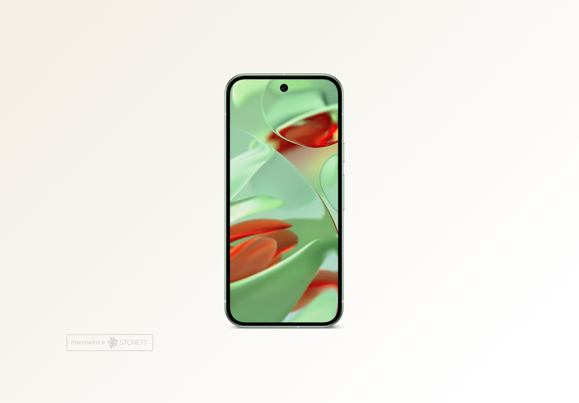Телефон Google Pixel 9 12/128 ГБ цвет: зимне-зелёный (Wintergreen)