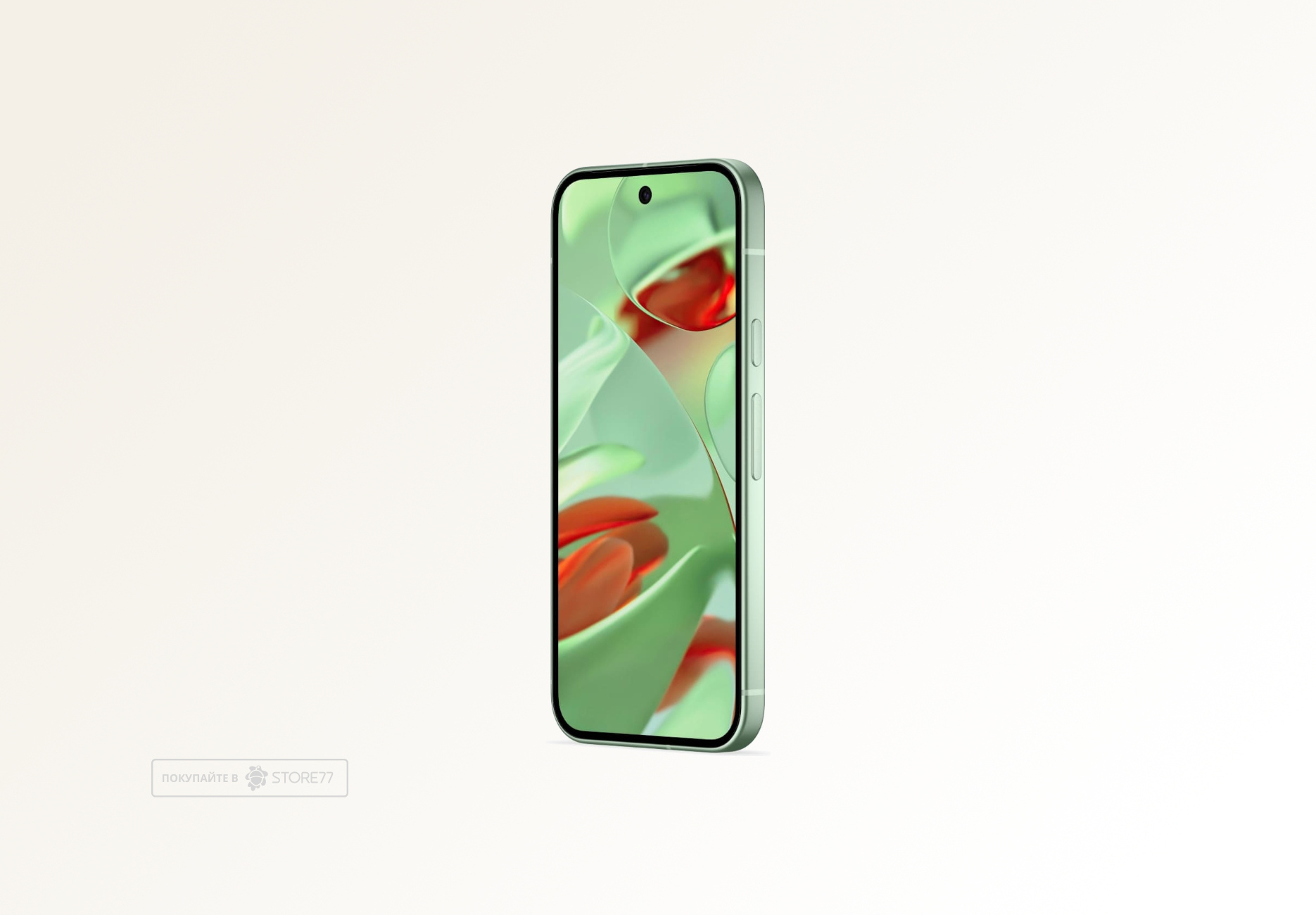 Телефон Google Pixel 9 12/128 ГБ цвет: зимне-зелёный (Wintergreen)