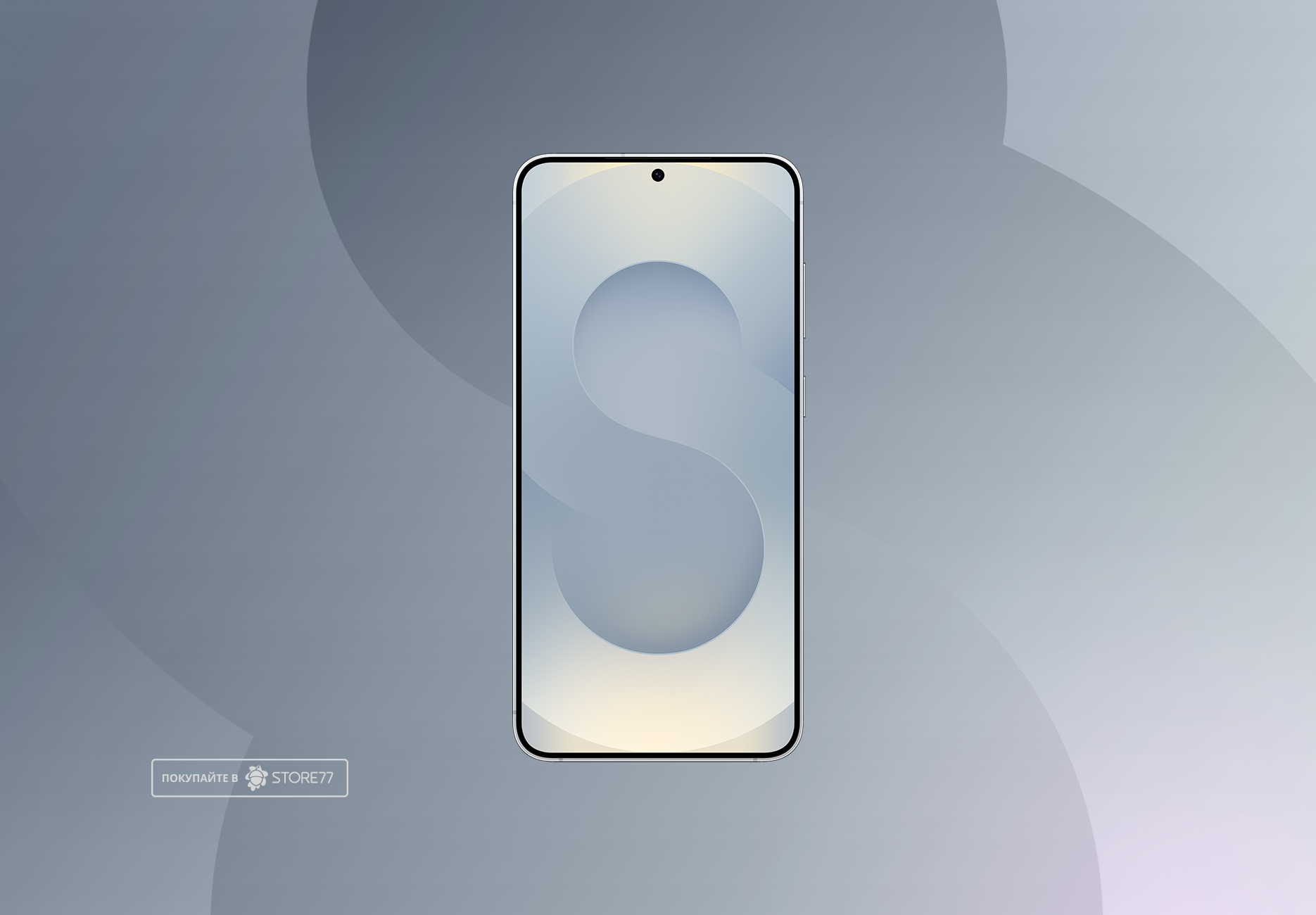 Телефон Samsung Galaxy S25+ 12/512 ГБ, цвет: дымчато-серебристый (Silver Shadow)